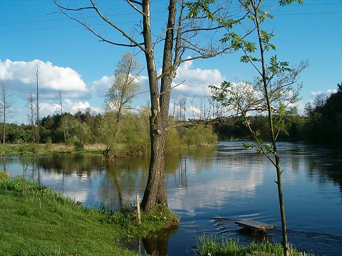 Rzeka pilica